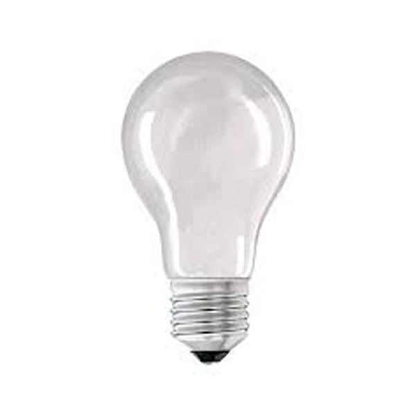 HS-1136-ES-Edison-60w-Bulb-E27-1